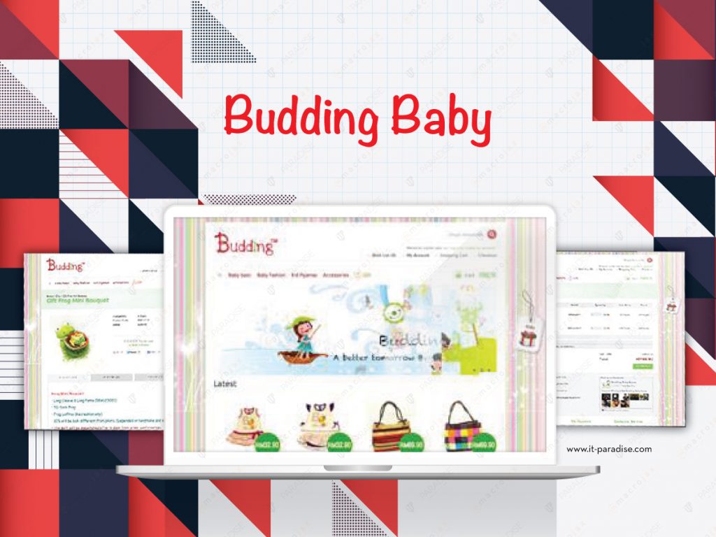 Budding Baby — original project presentation 1